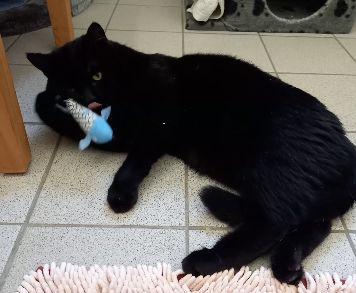 8a31cd75-bc54-4534-951e-585607322bb2