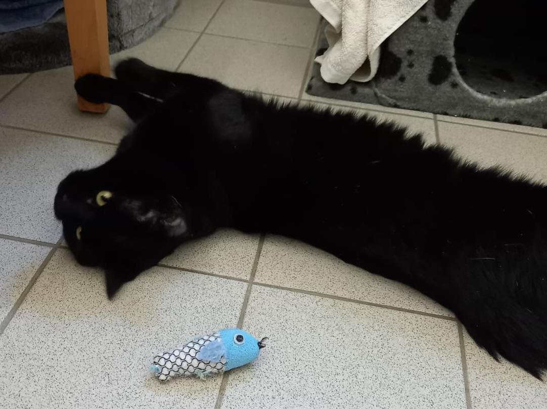 c99d806c-cc5c-4eb5-a354-a2dea9f20696