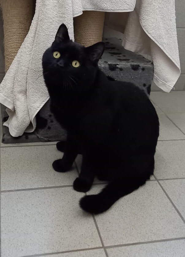 db4c2ab2-f2d2-401d-a2ca-f070aa54ead8