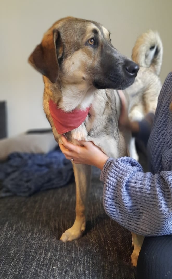 18b1fcf7-7021-43dd-9a26-ff3c8fc01b38