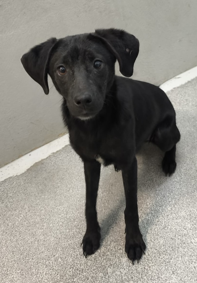 205c94d5-e9a7-4015-9010-1cf60422fc08