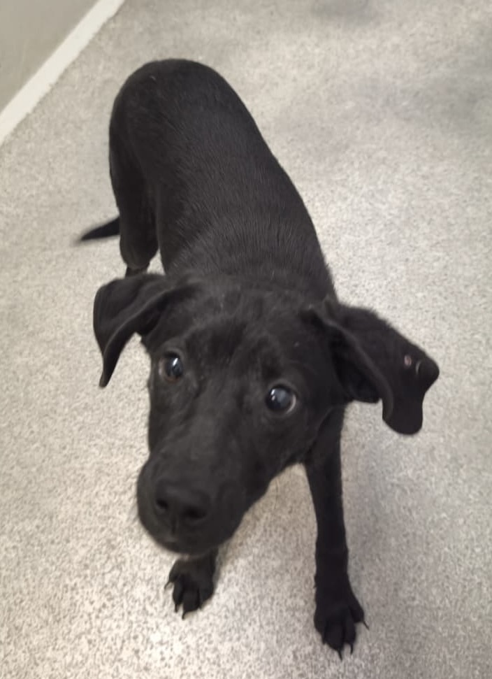 6314fd75-b2df-4357-b958-c6d701f6c1e8