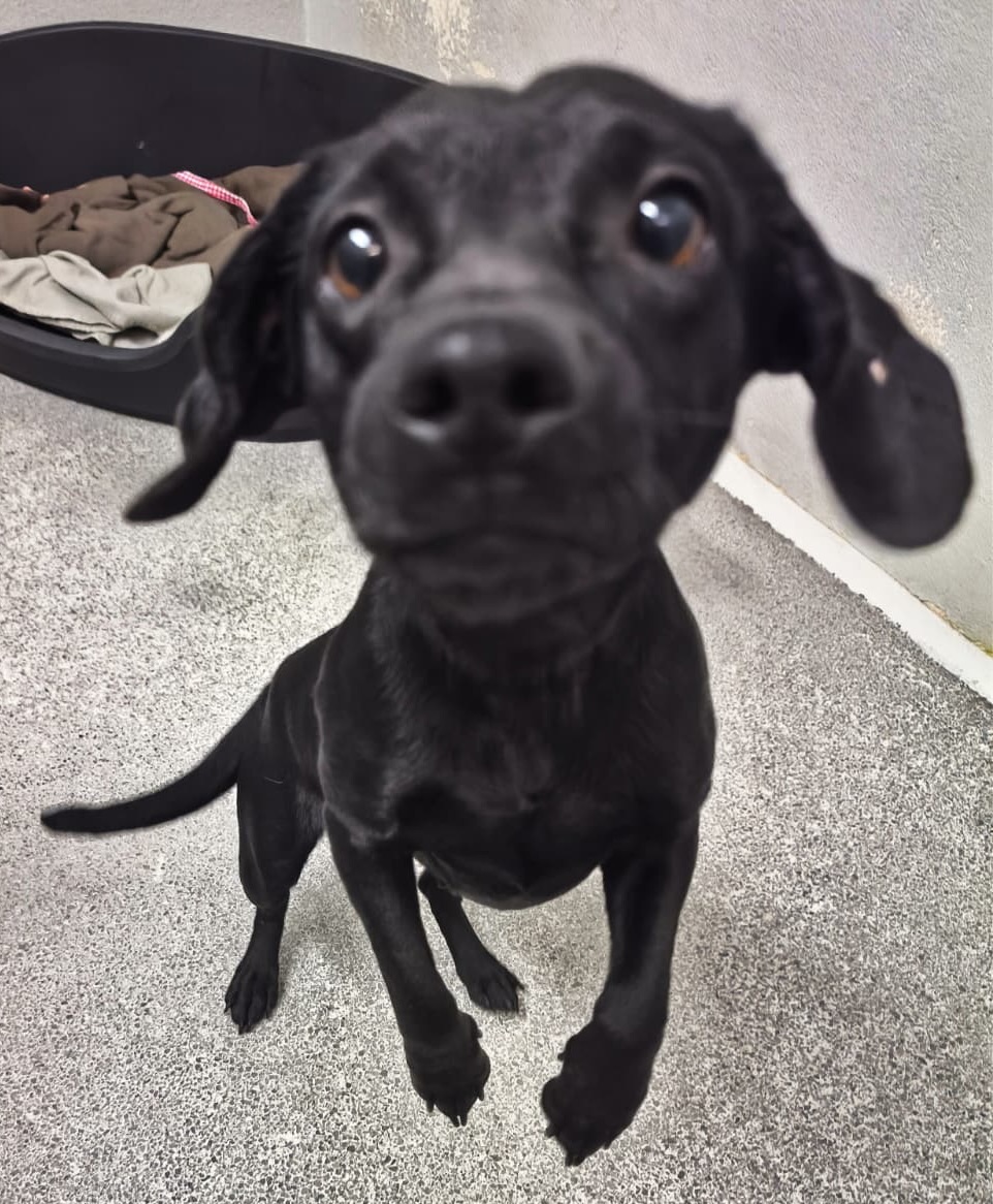 7918f0fe-4d3a-40a3-b710-86a6fcbd731f