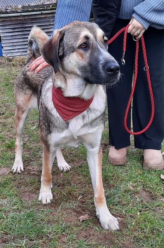 9b8b93c7-7c8a-48d1-ad74-5452d08ff812