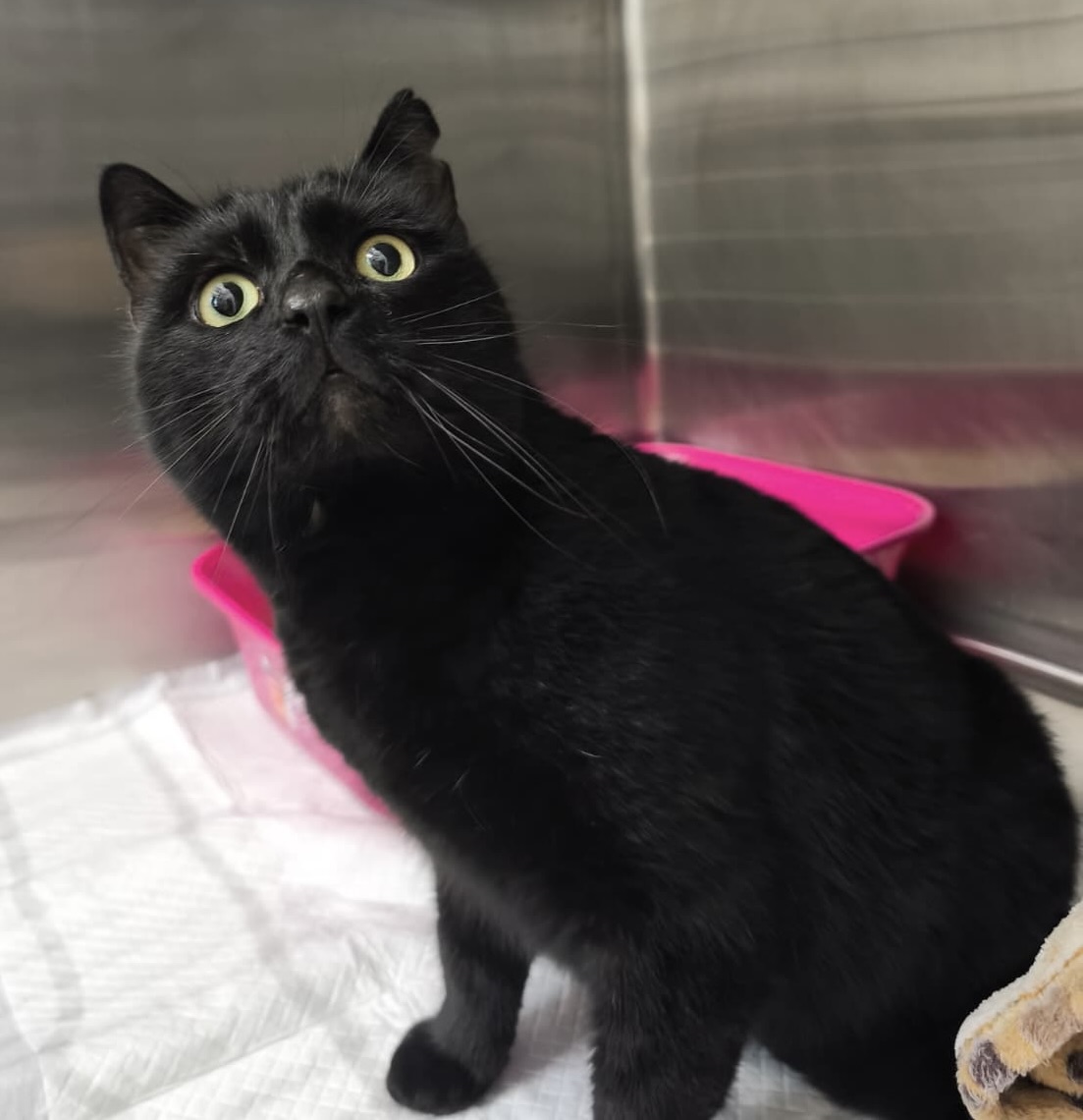 9e5280d3-69f7-4ba1-b3c3-1180df9cabd7