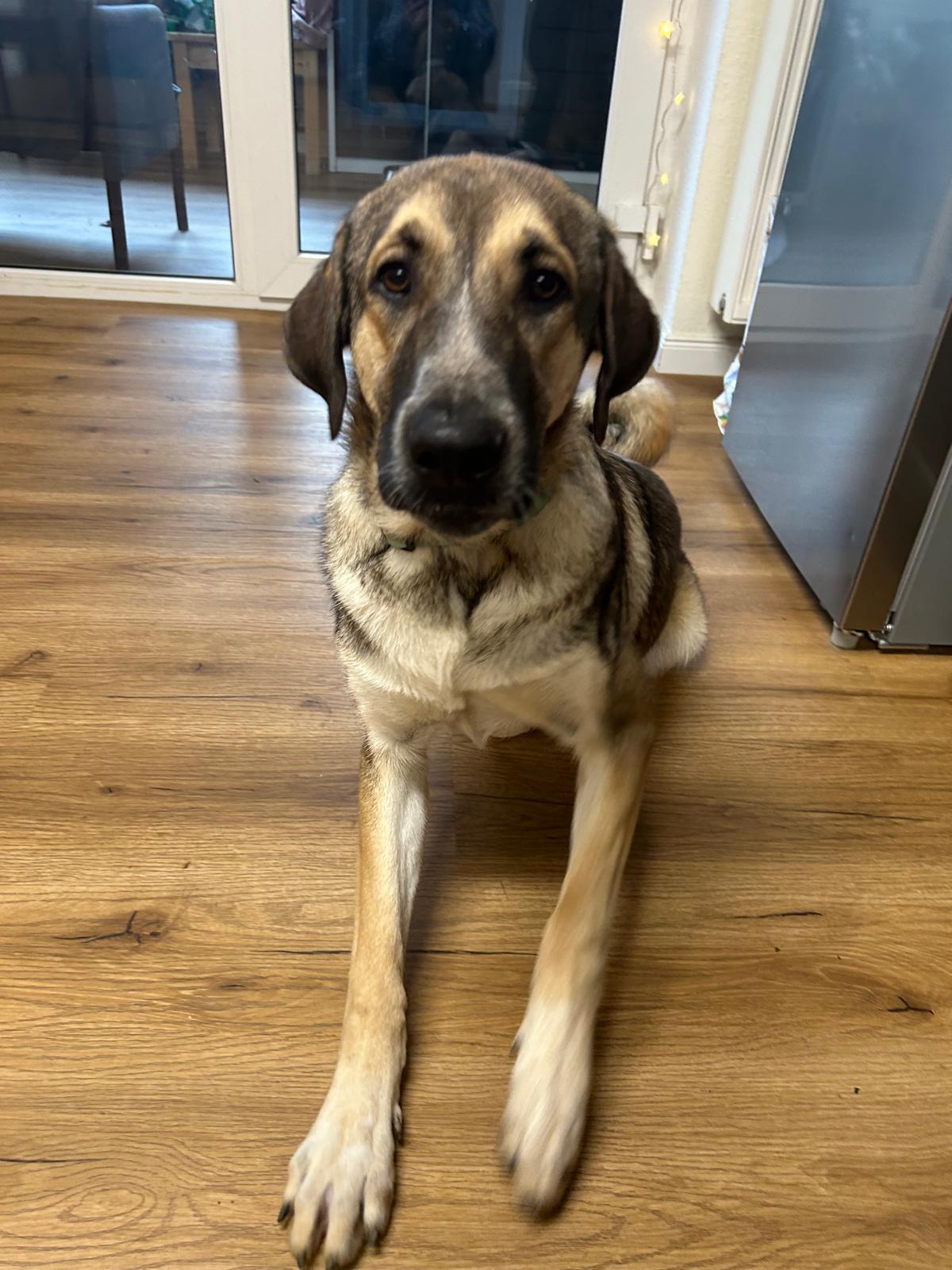 acff76f6-47ad-4629-bb1b-c0b6a4e14038