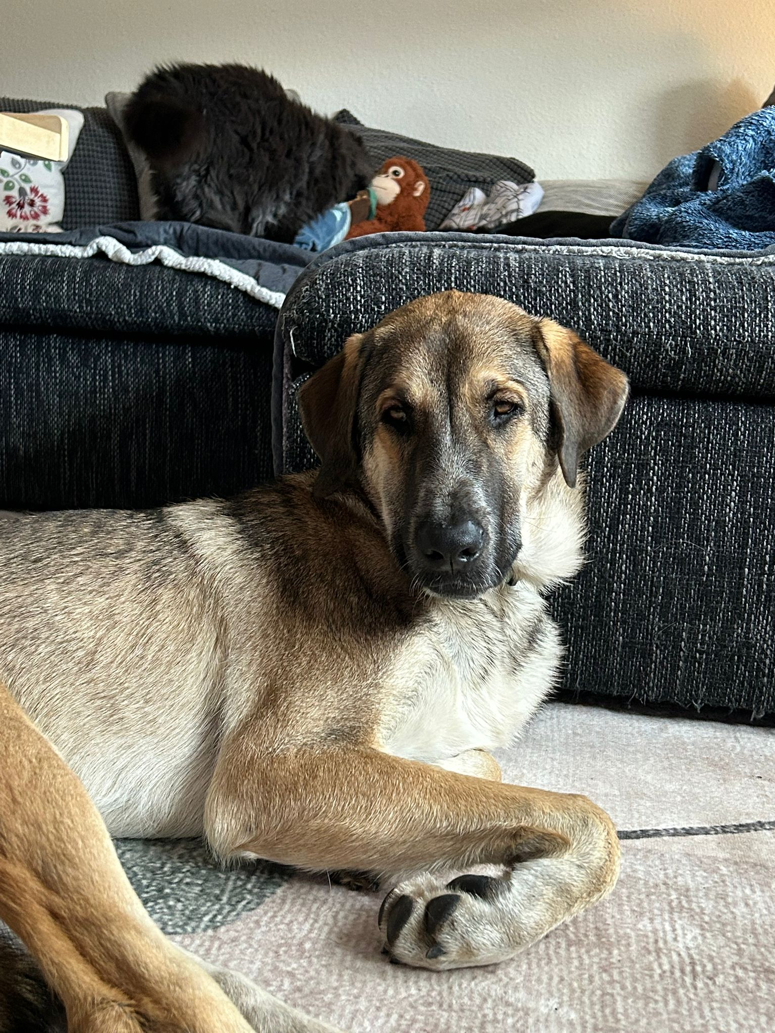 b202c87a-0d9f-4e46-81d9-243d374d391c