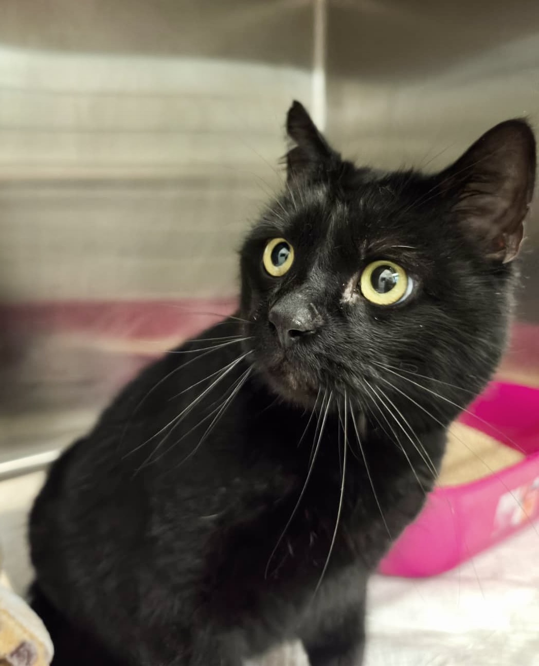 df6b21fa-2642-4c63-9b2a-a8628fb47aac