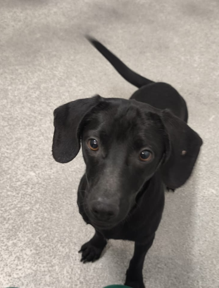 e18ae509-42d5-459c-b2f6-2ee7c97e132a