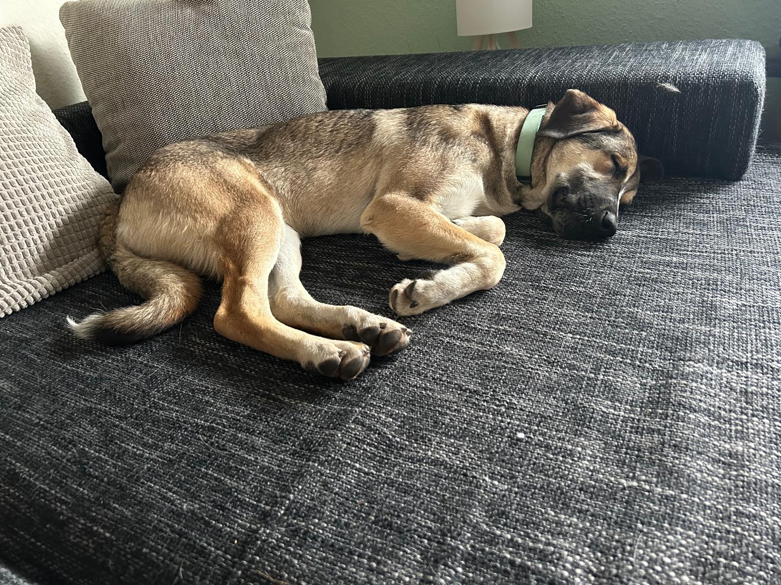 e19a608a-6802-4c8b-8ce4-715e86c7417f