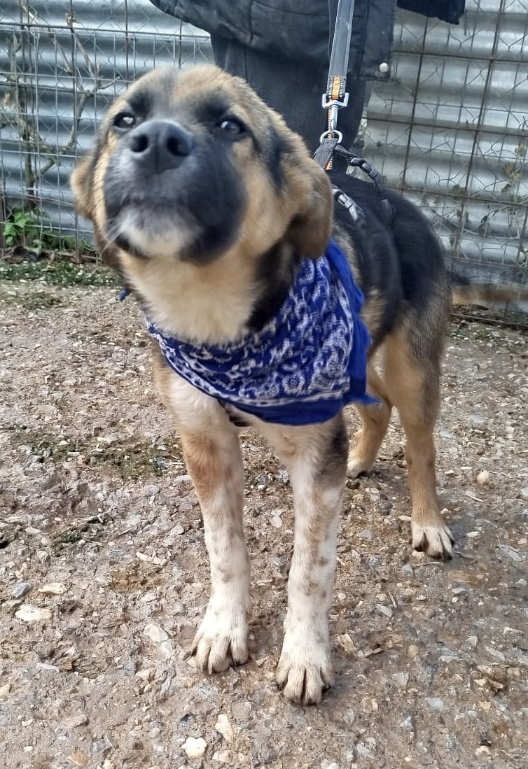 146c2f2b-9a6c-4c2b-9fd5-6cb2c3dbb1e7