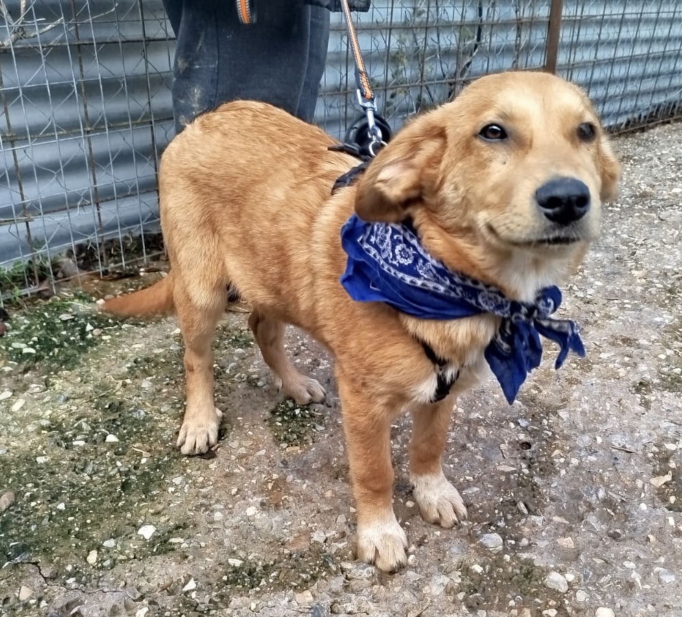 18b9c123-3165-446a-a703-9975637cc375