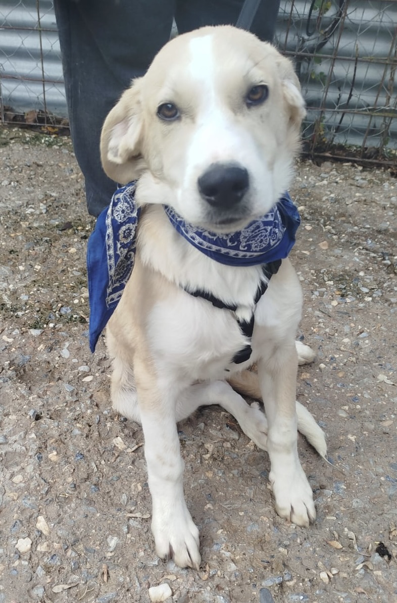 44d323af-10ed-4357-b085-b69d6ea2dd0d