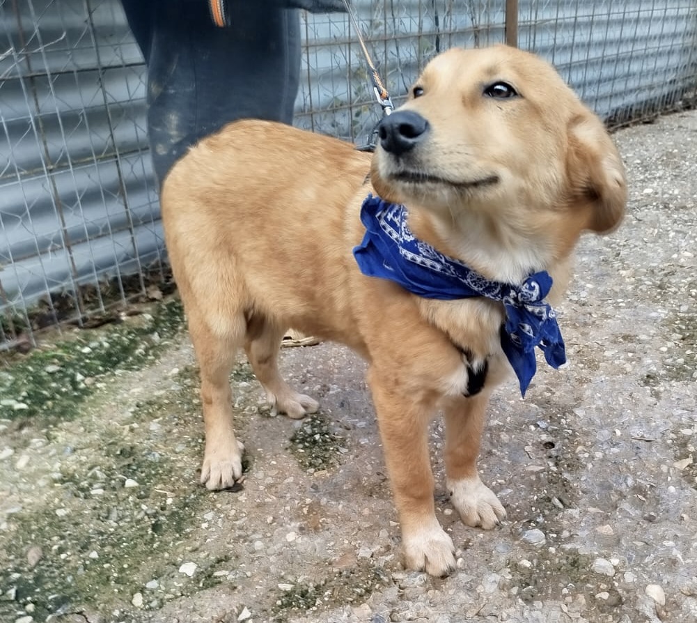 6dec56d4-2e9e-4334-b340-e0fa4341bd95 (1)