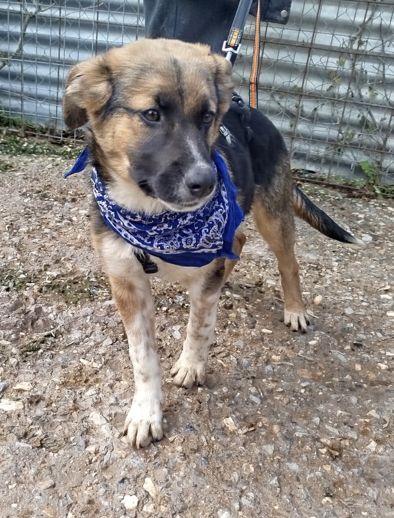 c9658c55-75ae-418a-abcc-65bedf43c020