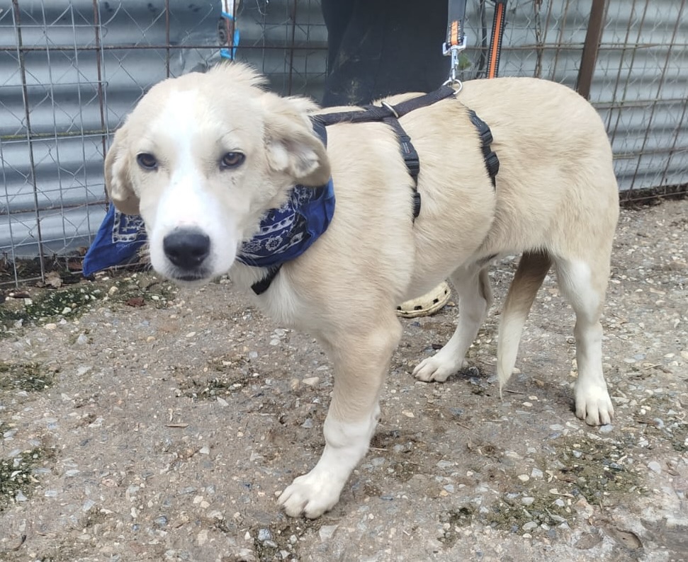 e425df54-5357-434a-8a27-52262ff83c6a