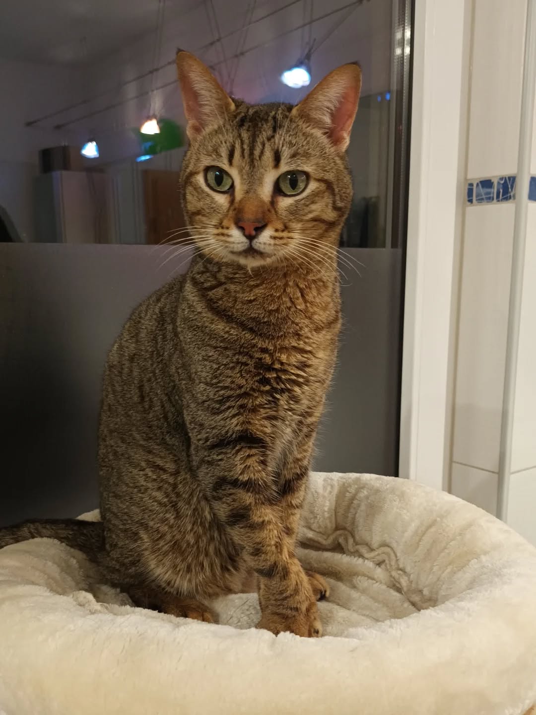 643212479_18085500809520789_8705623216820272761_n