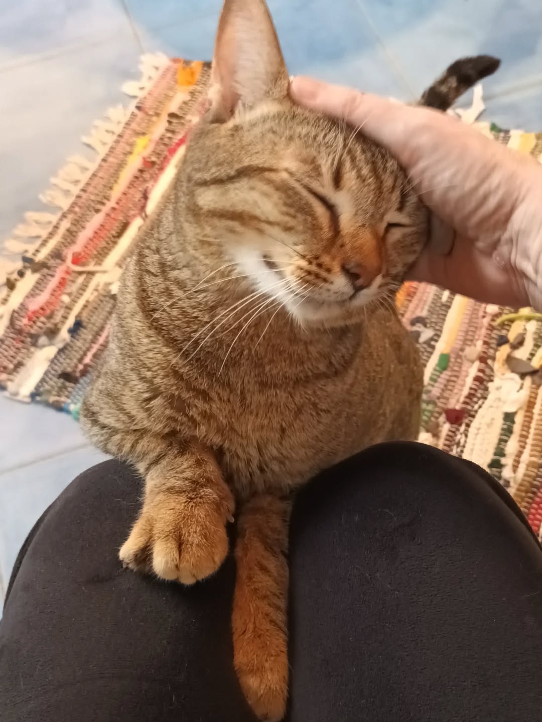 643477332_18085500797520789_4265218952384657604_n