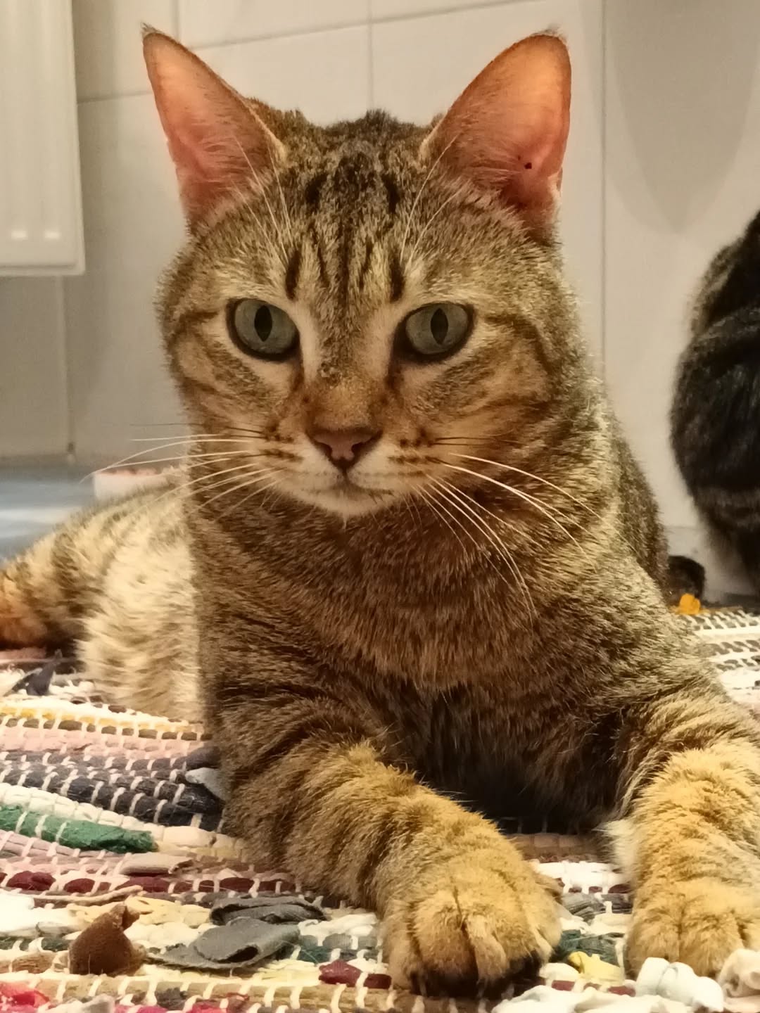 643503798_18085500740520789_1733911658247966178_n