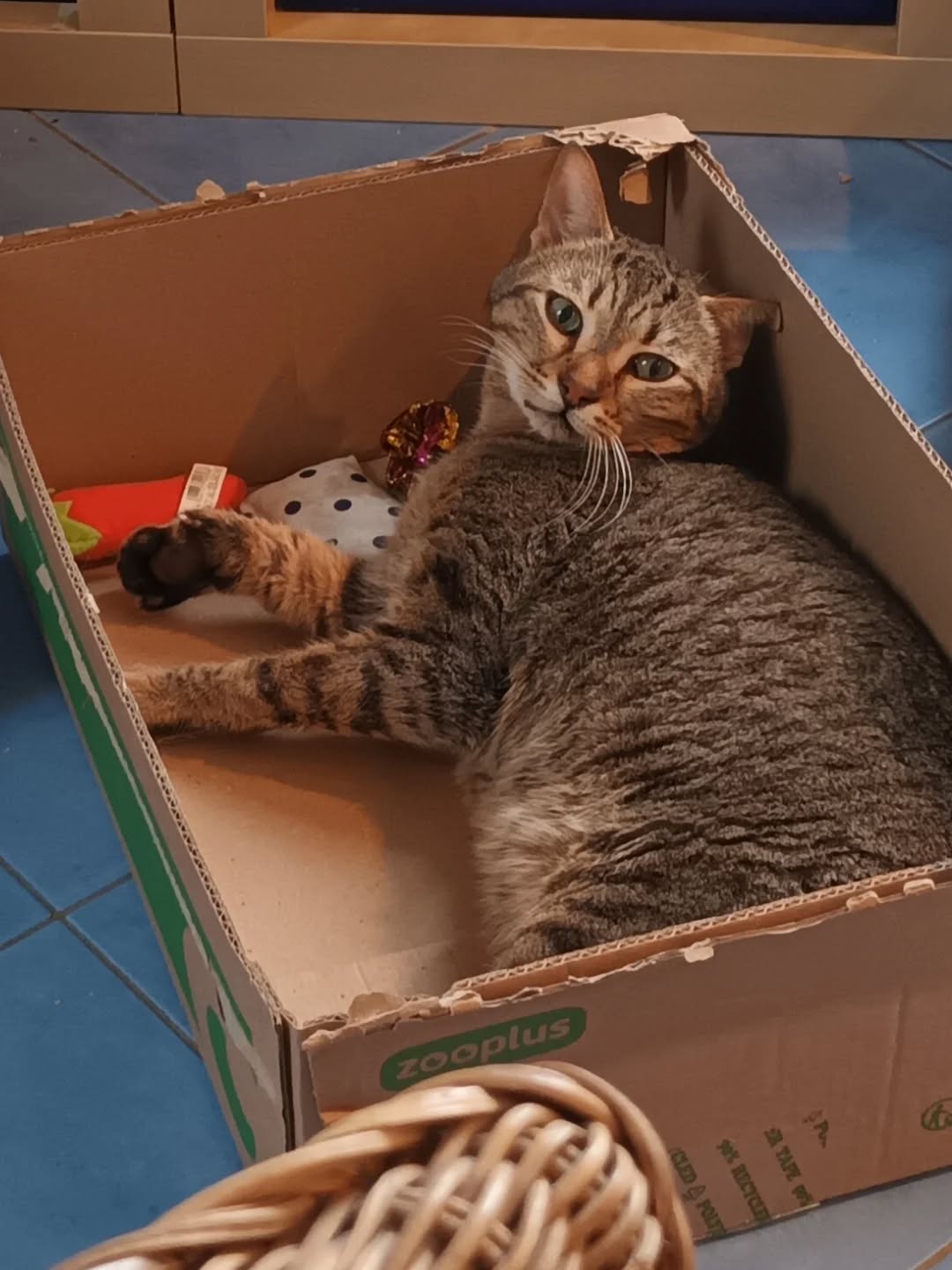 643558668_18085500827520789_1577829984219311071_n