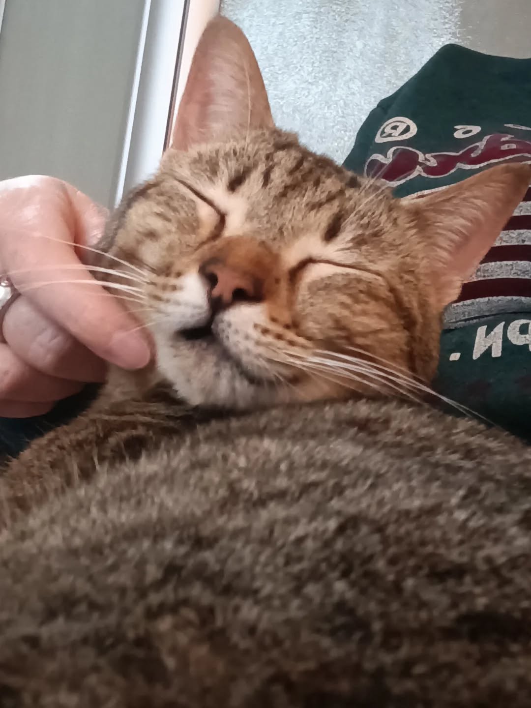 643559461_18085500749520789_4079635604188770415_n