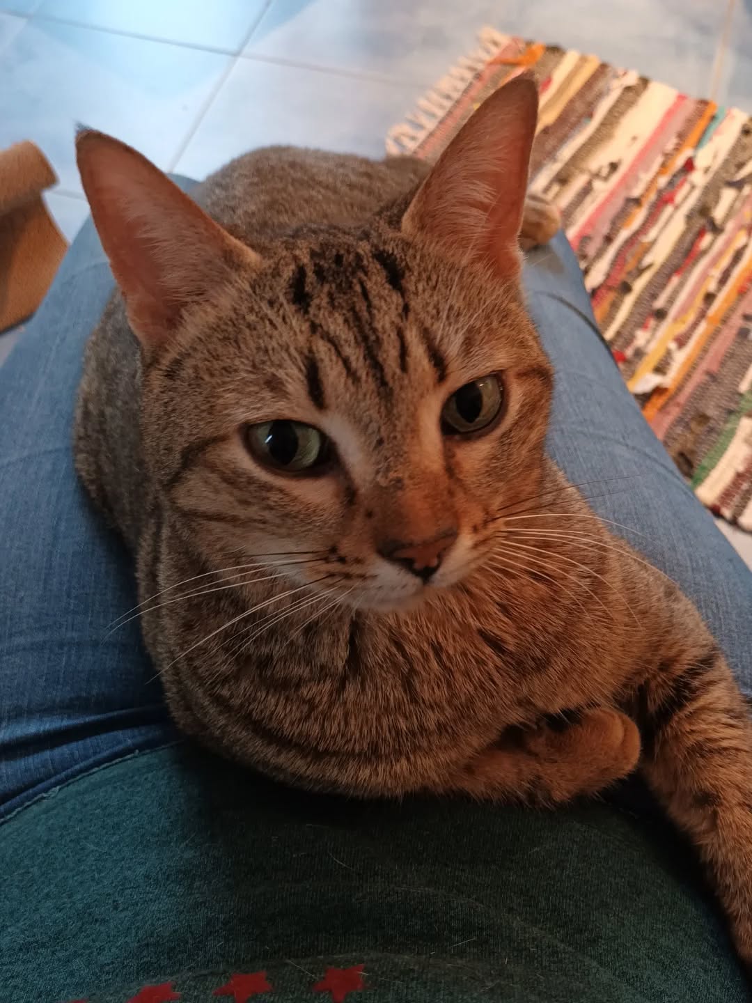 645756593_18085500758520789_18862343904465704_n