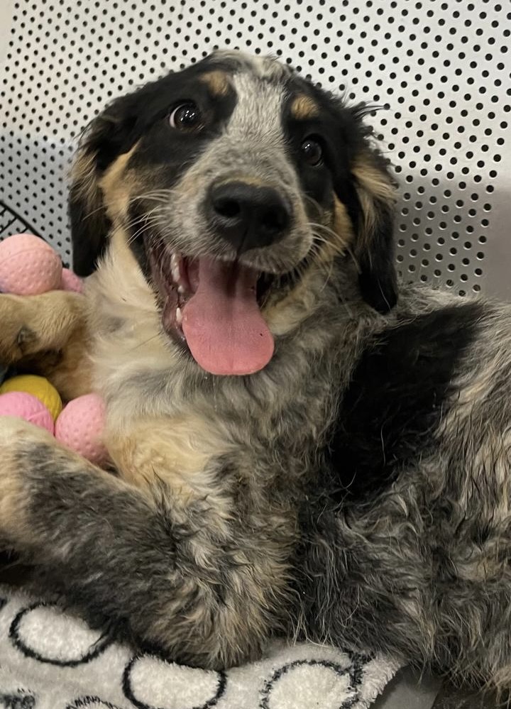 4090da50-80a1-4d20-b973-173060534bbb
