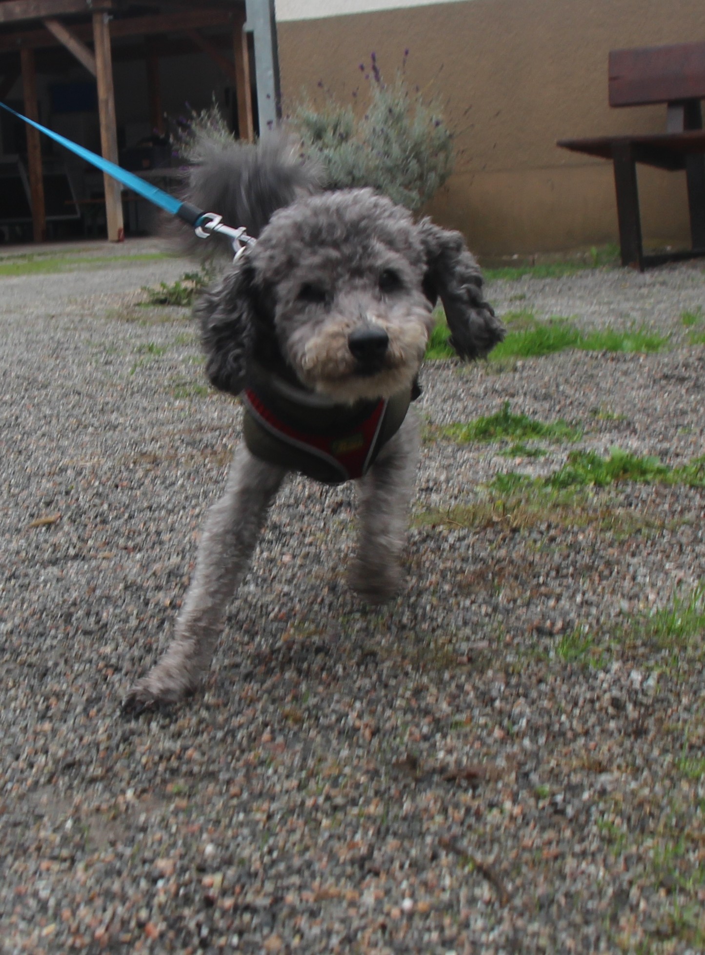 IMG_0726